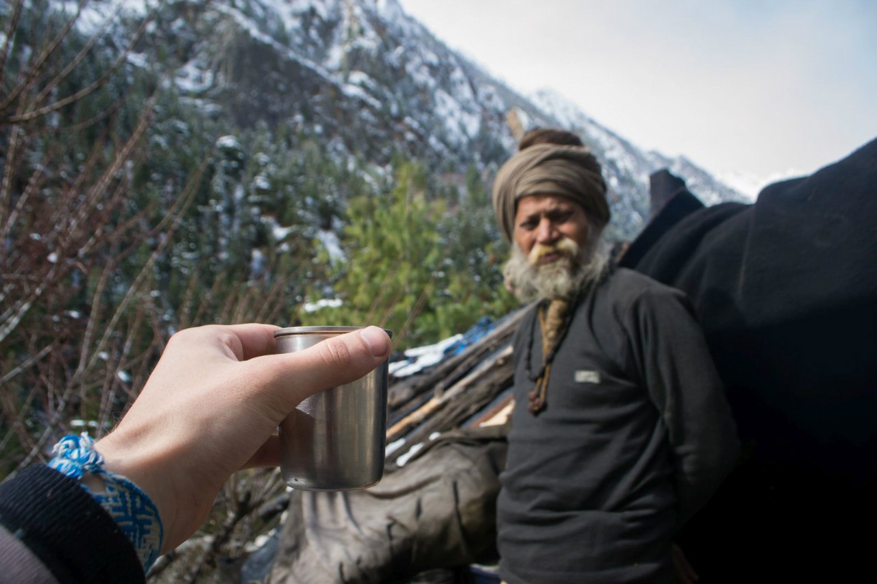 Индия. Автостопом и со вписками. Часть #4 Гималаи и Ганготри